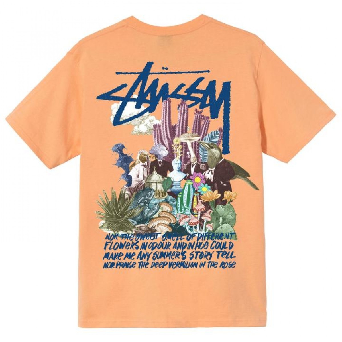 stussy sale t shirts